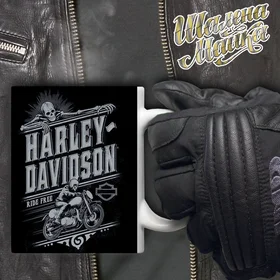 Прикольные кружки: Чашка Мото 071